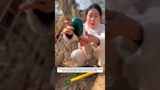 The woman accidentally picked up an ostrich egg at the farm and brought it home to hatch and then.