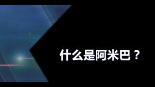 神奇的“阿米巴”经营管理方法