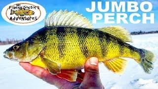 How to Ice Fishing Alberta Off Road Perch
