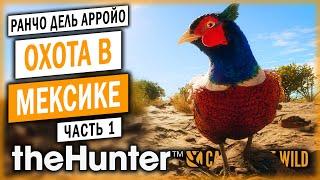 theHunter Call of the Wild #1  - ОХОТА НА ФАЗАНОВ С СОБАКОЙ - Охота в Пустыне (2021)