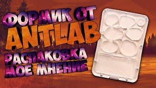 Распаковка муравьиной фермы от ANTlab! Лучший выбор для старта! Муравьи! Муравьиная ферма!