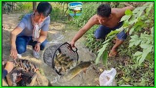 Amazing fishing use plastic baskets for catching fish in pond. #FishingTravel