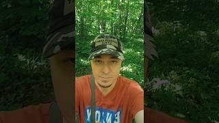 Высоцкий - баллада о детстве. А я гуляю по полю #высоцкий #бард #шансон #россия #песня #гитара