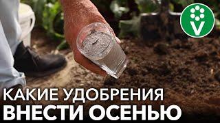 ЧТО ОБЯЗАТЕЛЬНО НУЖНО ВНЕСТИ В ПОЧВУ ОСЕНЬЮ? Все о минеральных и органических удобрениях осенью