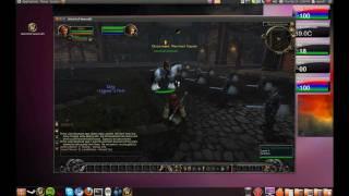 How to install world of warcraft on ubuntu 10.10