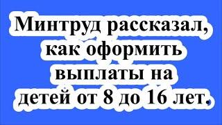 Минтруд рассказал, как оформить выплаты на детей от 8 до 16 лет.