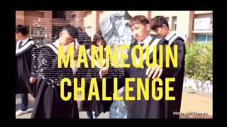 NCUT RAC #mannequinchallenge