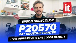 EPSON SureColor P20570 64" Aqueous Printer – How Impressive is the Color Gamut?