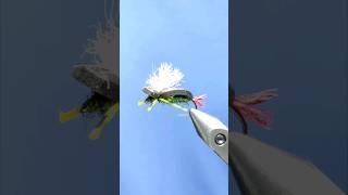 Fly tying a Beetle foam foam fly for Trout and Fish #flyfishing #flytying #shots #trout