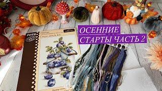 Осенние старты, часть 2, с 24.09 по 4.10.24г. МП студия, Mill Hill, Vetlanka