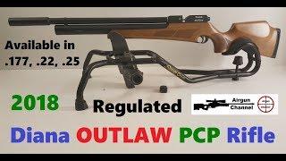 Diana OUTLAW Regulated PCP Rifle (Unboxing, Assembly, Cleaning) .25 Caliber