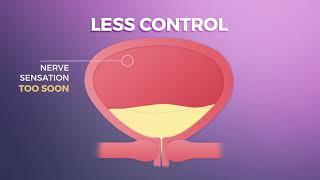 AZO Bladder Control Animation