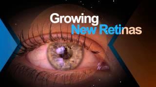 2014 Research Highlights from Johns Hopkins Medicine