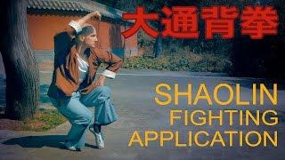 Shaolin Da Tongbei Quan, Fighting Application