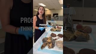 Would you donate your body to science? 🫁🫀#anatomy #humanbody #science #education