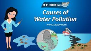 What is Water Pollution? | What Causes Water Pollution? | Environmental Science