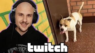 Юни смотрит Топ Моменты с Twitch | поход в лес