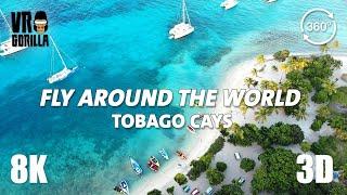 Fly Around the World VR - Tobago Cays a Caribbean Paradise - 8K 360 Video