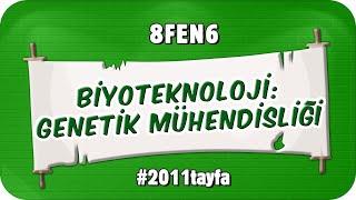 Biyoteknoloji: Genetik Mühendisliği  8FEN6 #2025LGS