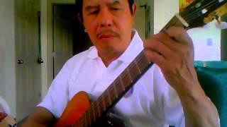 Two guitar (gypsie music)