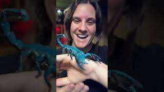 Glow in the dark Scorpion! 