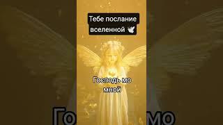 Принимай в комментариях с щедростью, БЛАГО ДАРЯ из любви к СЕБЕ  #правильныеслова