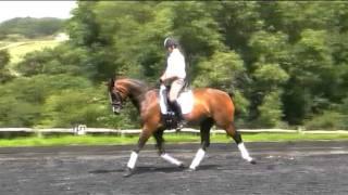 Daniel Timson and Barcarole riding in the Fairfax Monoflap dressage saddle