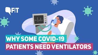 Explained: Why Some COVID-19 Patients Need Ventilators | The Quint