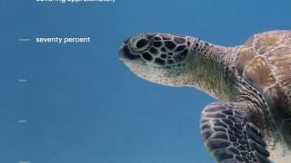 Ocean Literacy Principle #1 - World Oceans Day 2020