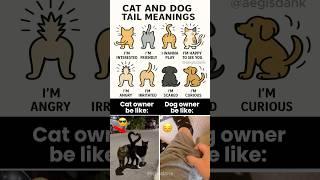 Cat vs Dog Tail Language 