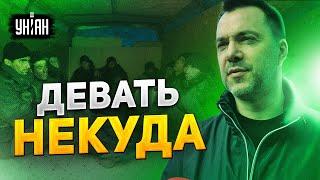 Некуда девать пленных! Арестович озвучил грандиозные новости с фронта