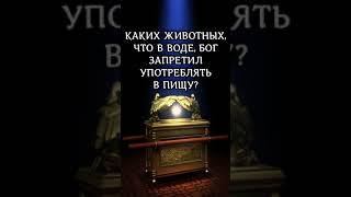 Каких животных, что в воде Бог запретил употреблять в пищу Втор 149 10 #библия #пища #shorts