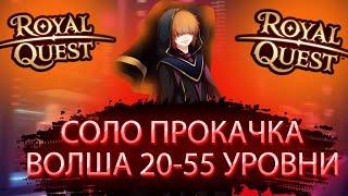 САМАЯ ЭФФЕКТИВНАЯ СОЛО ПРОКАЧКА НА ВОЛШЕБНИКЕ В РОЯЛ КВЕСТ С 20 ПО 55 УРОВНИ // ROYAL QUEST ФАРМ