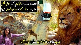 Exploring The Live Zoo of Pakistan | Safari Park Lahore | Best Experience Of Wildlife | 50 Minutes