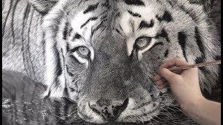 Hyperrealistic Tiger Drawing / 85 Hour Time-lapse