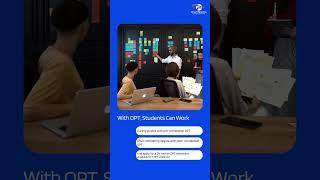 Why OPT is the Key to Your Career Success in the USA?