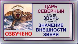 1.24б Царь северный, часть 3: ЗНАЧЕНИЕ ВНЕШНОСТИ ЗВЕРЯ. ЗВЕРЬ из Откр.13 гл. Свидетели Иеговы