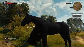 Geralt finds a very special horse (The Witcher 3)