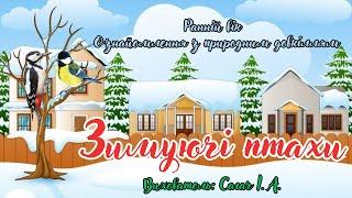 Ранній вік. Ознайомлення з природним довкіллям "Зимуючі птахи".