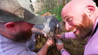 Doomsday Preppers Off The Grid In Appalachia!! Appalachian Homestead Food!!