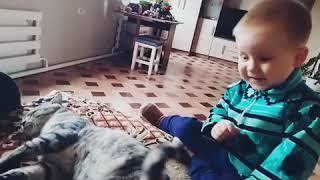 Когда первый раз увидел кота