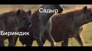 шакалдай саясатчылар (политики похожи на животных)