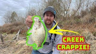CREEK CRAPPIE fishing with a JIG & BOBBER!