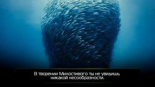 В творении Милостивого ты не увидишь никакой несообразности.