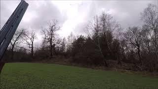 Pheasants hunting in Czech Republic 07 12 2018