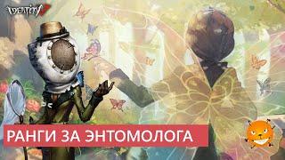 Identity V - Ранги за Энтомолога. Как же пользоваться роем?