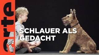 Hunde: Die besten Freunde des Menschen | Doku HD Reupload | ARTE