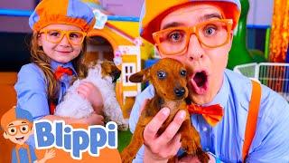Blippi & Pals Puppy Playtime  |  Blippi Ultimate Playdates | Challenges and Games for Kids