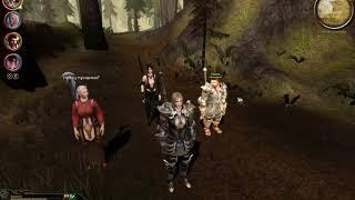 Dragon Age Origins. Диалог Огрена и Винн про "палку"