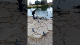 Videos de. Omar.  Pavon.